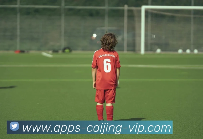 彩经网品牌故事