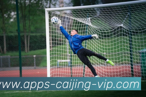 彩经网服务体系